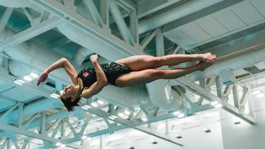 Ryane Neal Badger Diving