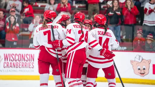 Badgers celebrate against Minnesota State on Oct. 26