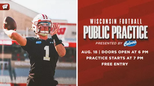Public Practice updated graphic