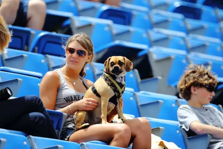 Bring your dog to Wake Forest's second annual Bark in the Park on April 21.