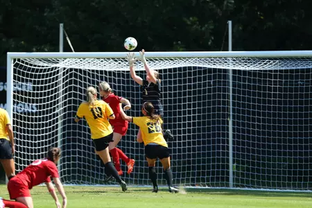 Lindsay Preston made six saves against the Fighting Irish.