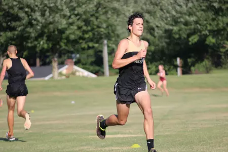 Alex Giacco