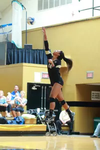 Brianna Lynch