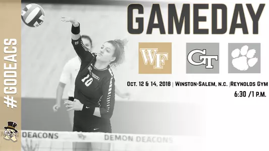 Game Day- vb