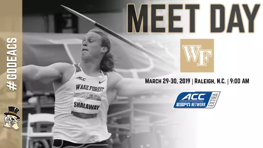 Raleigh Preview Graphic