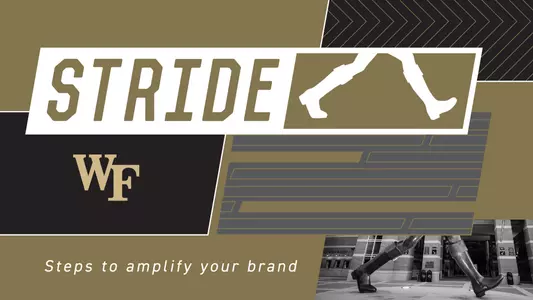 STRIDE