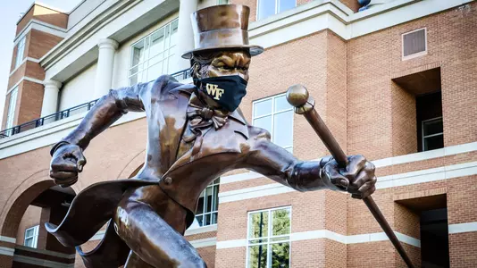 Masked Statue