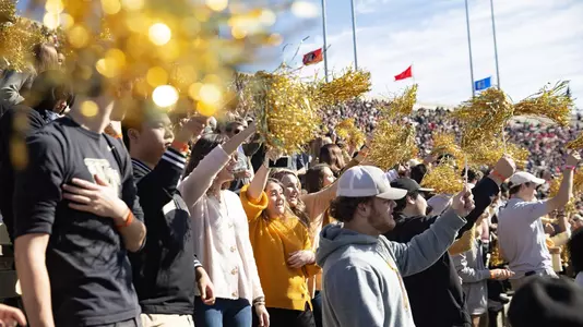 Wake Forest Football