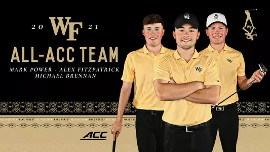 mens golf acc