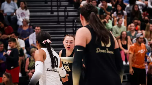 Wake Forest Volleyball