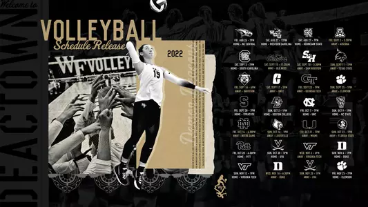 Wake Forest Volleyball