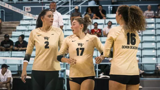 Wake Forest Volleyball
