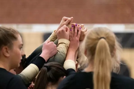 Wake Forest Volleyball