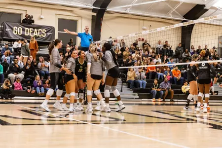 Wake Forest Volleyball celebration