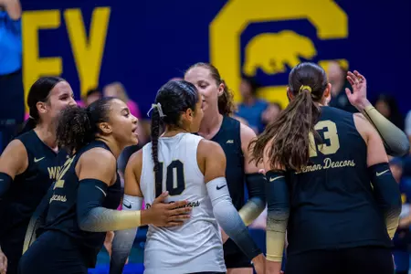 Volleyball celebration