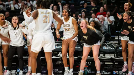 Wake Forest Bench