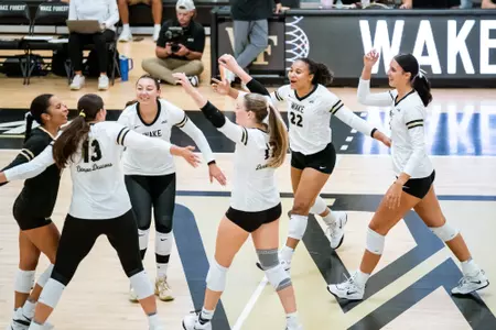 Volleyball celebration