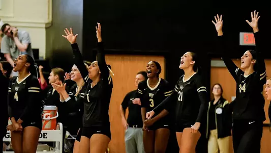 Volleyball celebration