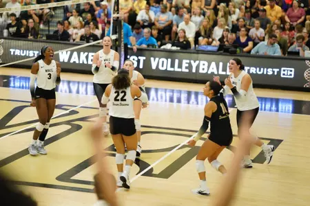 Volleyball celebration