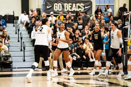 Volleyball celebration