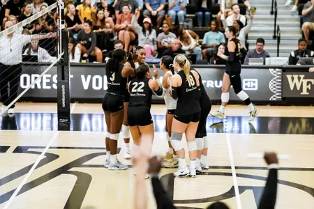 Volleyball celebration