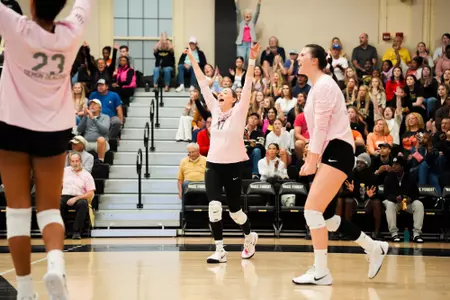 Volleyball celebration