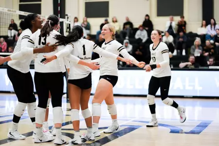 Volleyball celebration