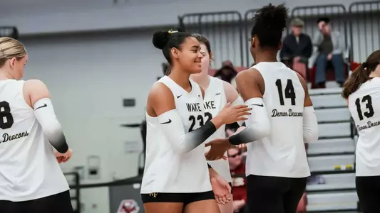 Volleyball celebration