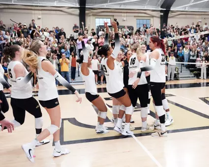 Volleyball celebration