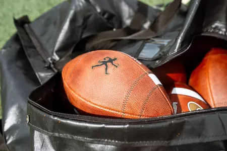 Footballs