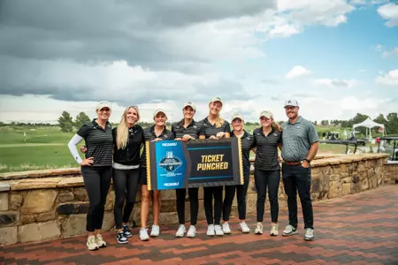 Regional Ticket Punch