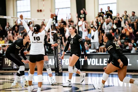 Volleyball celebration