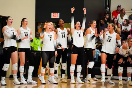 Volleyball celebration