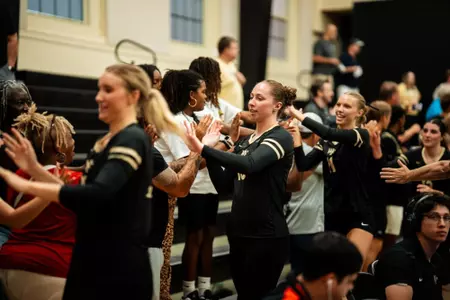 Volleyball celebration