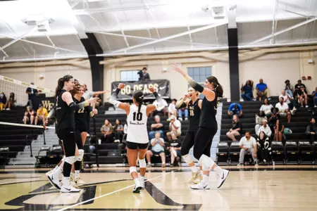 Volleyball celebration