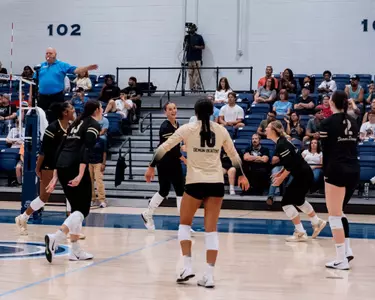 Volleyball celebration