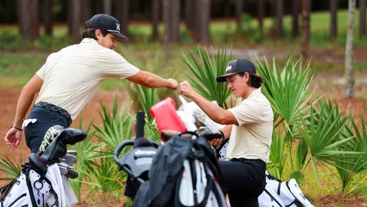 Wake Forest men's golf