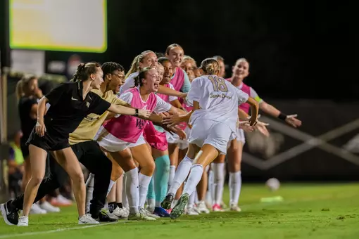 Allie Flanagan Celebration