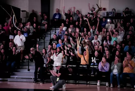 Volleyball Fans