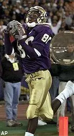 The Huskies Are Back