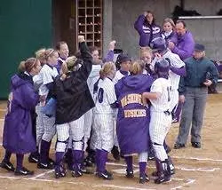 Huskies Fall To Arizona, 4-2, In College World Series