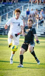 McIntosh: Heart Of Purple And Gold