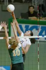 No. 10 Volleyball Hosts Stanford and California This Week
