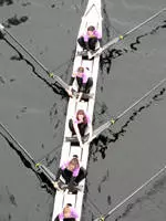 Huskies Sweep All Six Races on Sunday