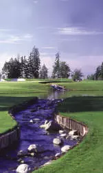 Men Host Pac-10 Golf Championship