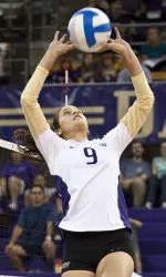 Unleashed: A Father's Strength