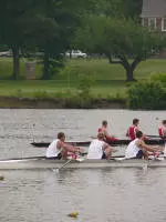 Entire Husky Men's Fleet Advances at IRA Regatta