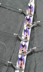 UW Crews Wins 8 of 9 Races vs. Oregon State