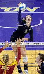 Another Dog Fight For Huskies In L.A.