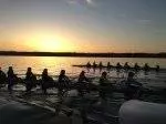 New Huskies to make their Washington Rowing Debuts